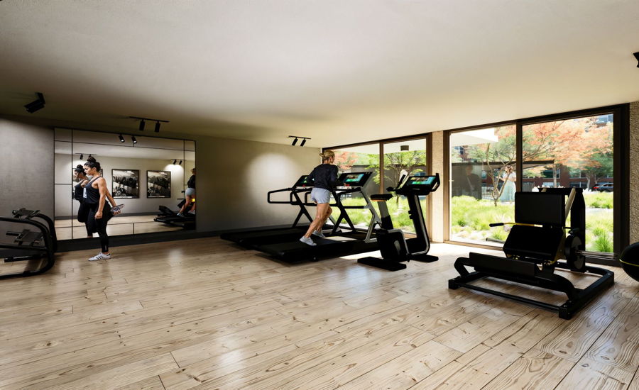 Gimnasio